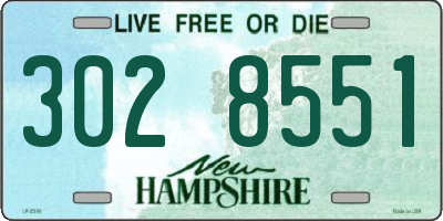 NH license plate 3028551