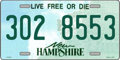 NH license plate 3028553