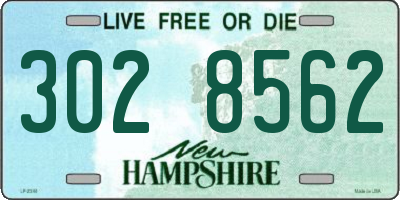 NH license plate 3028562