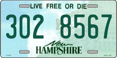 NH license plate 3028567