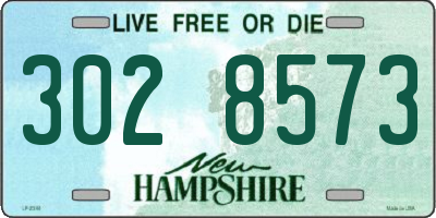 NH license plate 3028573