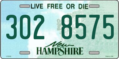 NH license plate 3028575