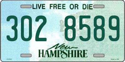 NH license plate 3028589