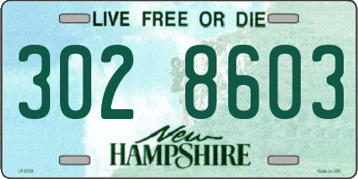 NH license plate 3028603