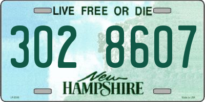 NH license plate 3028607