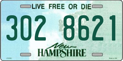 NH license plate 3028621