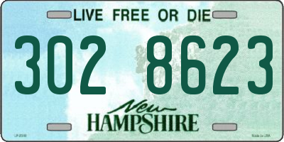NH license plate 3028623