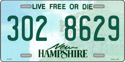 NH license plate 3028629