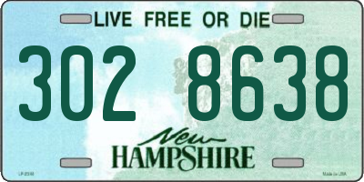 NH license plate 3028638
