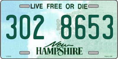 NH license plate 3028653