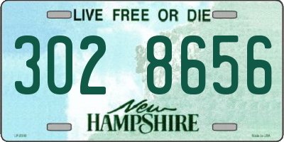 NH license plate 3028656