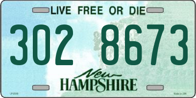 NH license plate 3028673