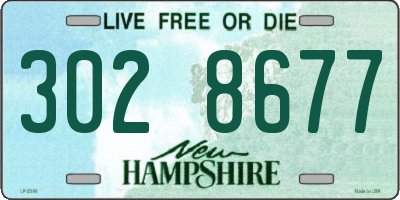 NH license plate 3028677