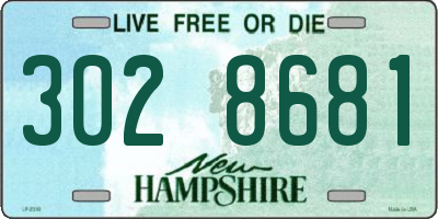 NH license plate 3028681