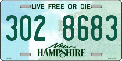 NH license plate 3028683