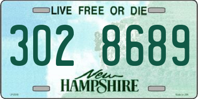 NH license plate 3028689