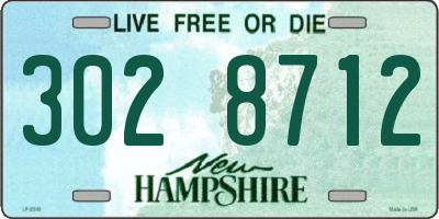 NH license plate 3028712