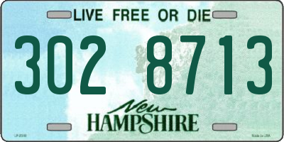 NH license plate 3028713
