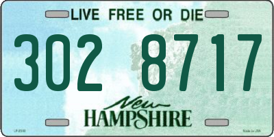 NH license plate 3028717