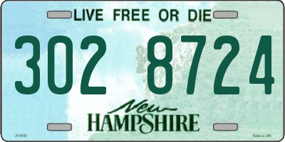 NH license plate 3028724
