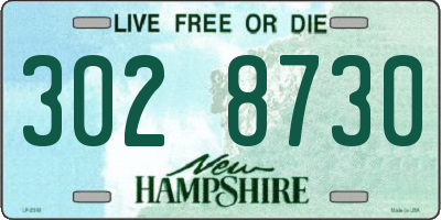 NH license plate 3028730