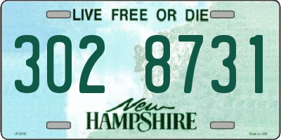 NH license plate 3028731