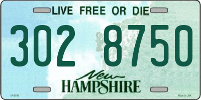 NH license plate 3028750