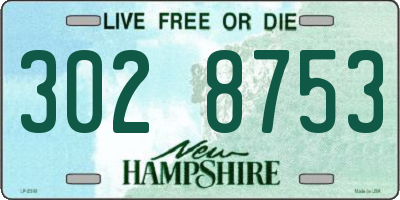 NH license plate 3028753