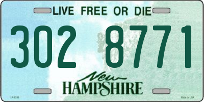 NH license plate 3028771