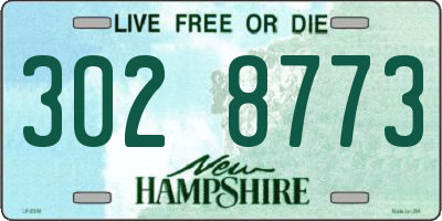 NH license plate 3028773