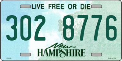 NH license plate 3028776