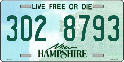 NH license plate 3028793