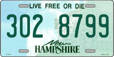 NH license plate 3028799