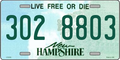 NH license plate 3028803