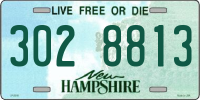 NH license plate 3028813