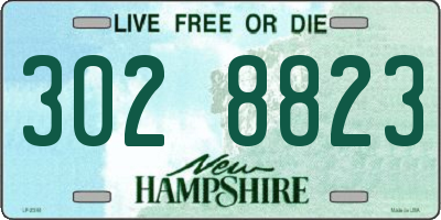 NH license plate 3028823