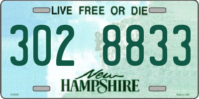NH license plate 3028833