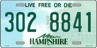 NH license plate 3028841