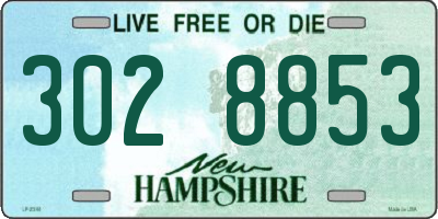 NH license plate 3028853