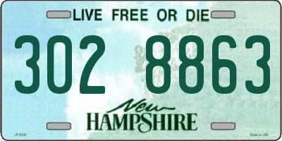 NH license plate 3028863
