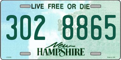 NH license plate 3028865
