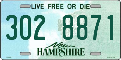 NH license plate 3028871