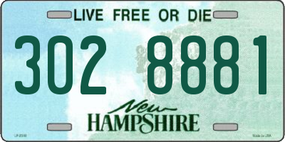 NH license plate 3028881