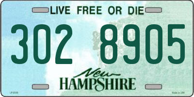 NH license plate 3028905