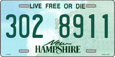 NH license plate 3028911