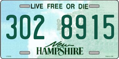 NH license plate 3028915