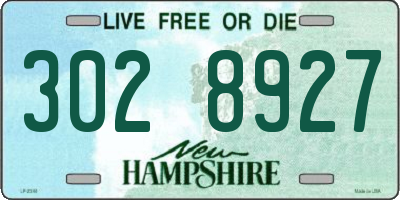 NH license plate 3028927