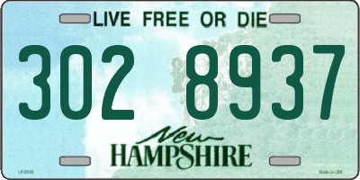 NH license plate 3028937