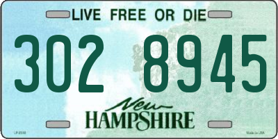 NH license plate 3028945
