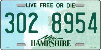 NH license plate 3028954